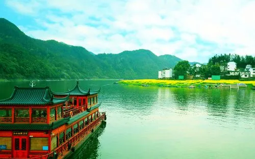 电子高端
